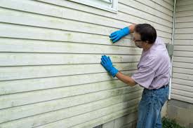 Best Custom Trim and Detailing for Siding  in Holly Ridge, NC